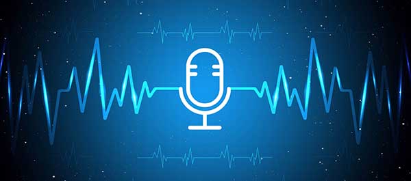 Output audio sintesis kamera pengenalan pelat nomor Cheweitong